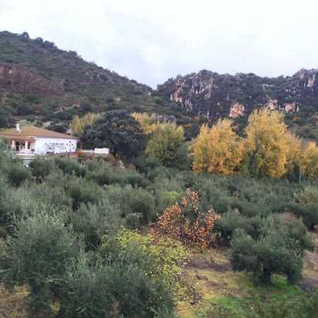 Villa La Quinta プリエゴ・デ・コルドバ エクステリア 写真