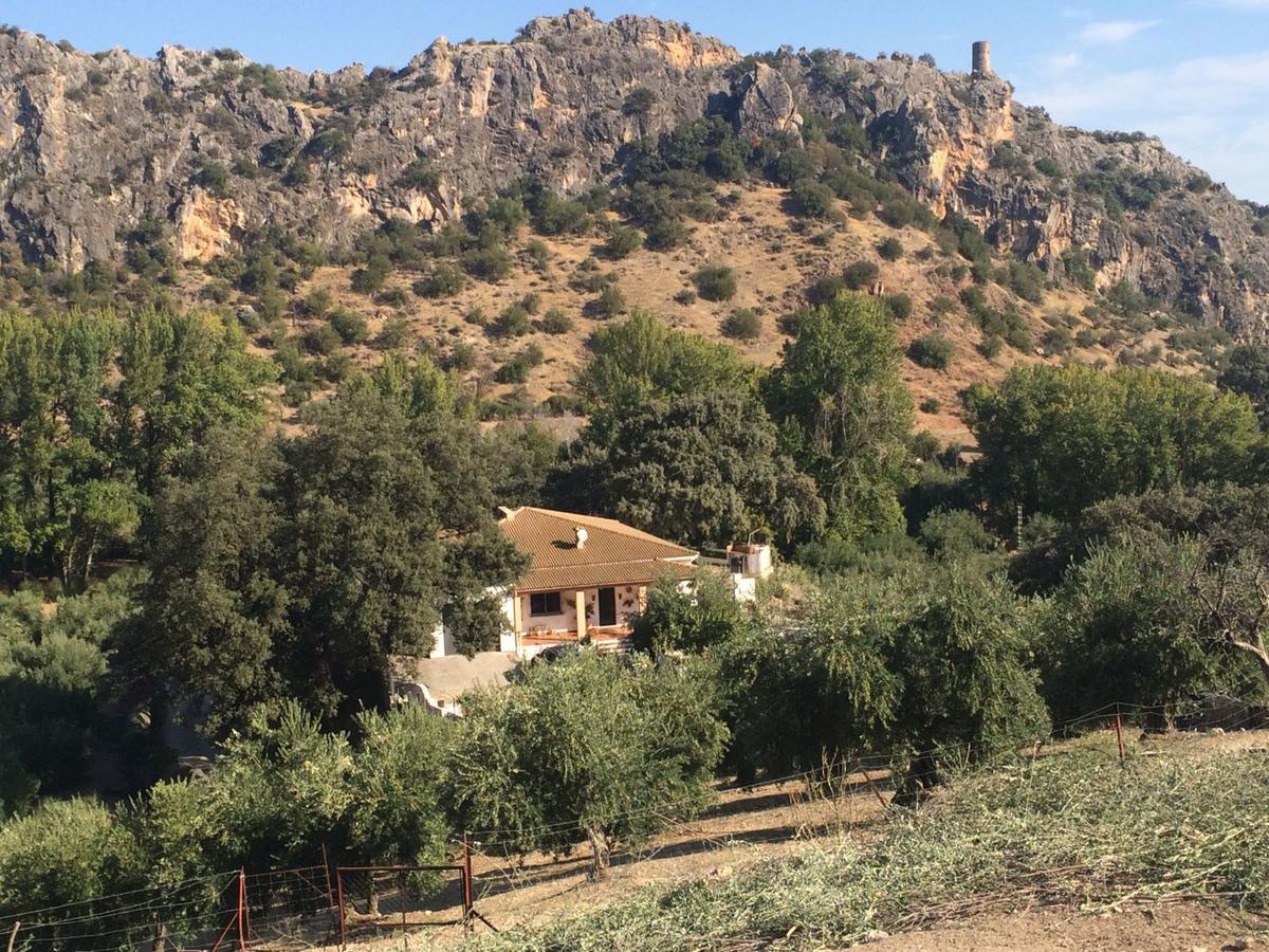 Villa La Quinta プリエゴ・デ・コルドバ エクステリア 写真