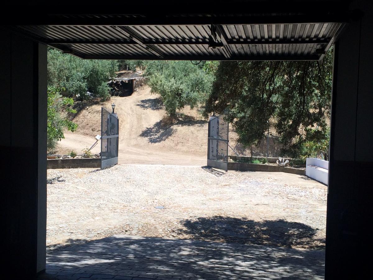 Villa La Quinta プリエゴ・デ・コルドバ エクステリア 写真