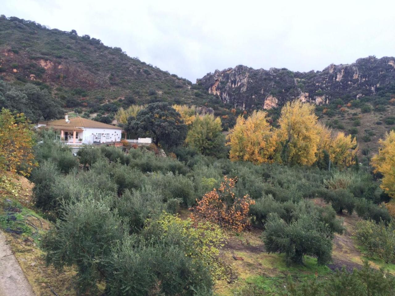 Villa La Quinta プリエゴ・デ・コルドバ エクステリア 写真